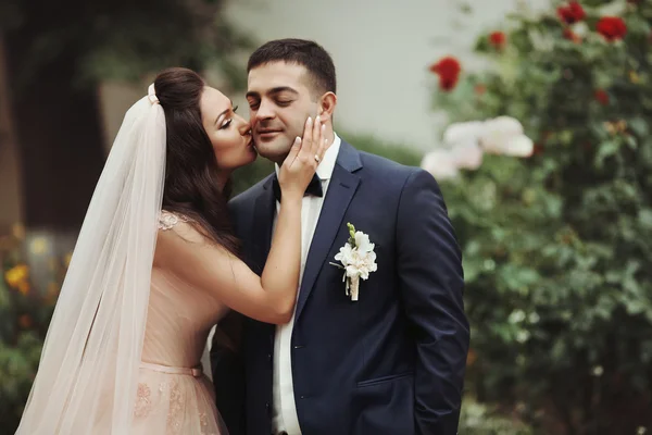 Romantic bride kissing handsome groom — Stock Photo, Image