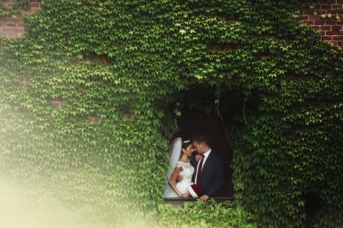 Peri masalı yeni evli Romantik Çift