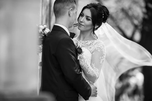 Glücklich frisch verheiratete brünette Braut — Stockfoto