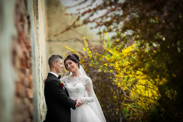 Novia y novio posando — Foto de Stock