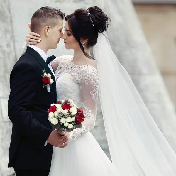 Gorgeous brunette bride hugging groom — Stock Photo, Image