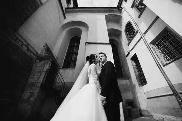 Newlywed bride and groom — Stock Photo, Image