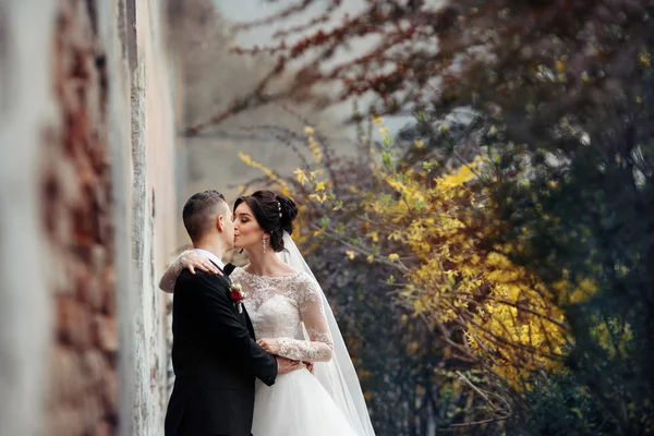 Novia y novio besándose — Foto de Stock