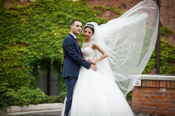 Frisch vermählte Valentynes umarmen sich — Stockfoto