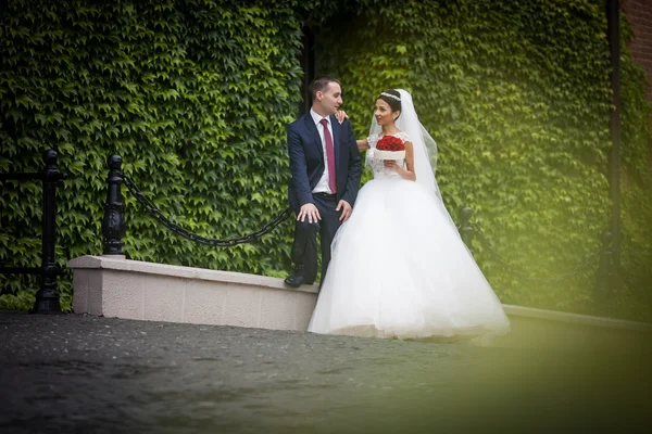 Newlywed valentynes couple — Stock Photo, Image