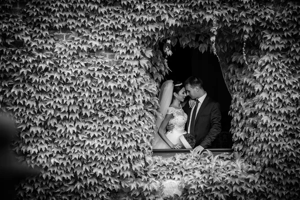 Casal romântico recém-casado conto de fadas — Fotografia de Stock