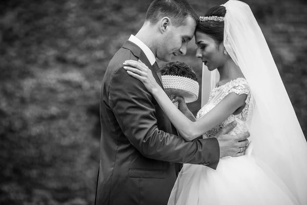 Encerramento de abraços recém-casados em um parque — Fotografia de Stock