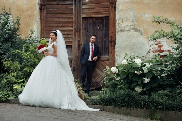 Elegancka, piękna panna młoda brunetka, w chodzenie — Zdjęcie stockowe