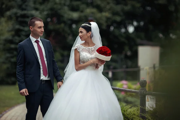 Nygift poserar i en romantisk Europeiska park — Stockfoto