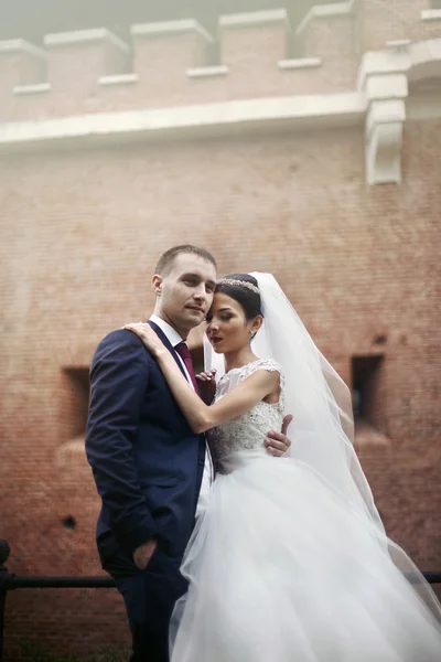 Romántica pareja recién casada —  Fotos de Stock