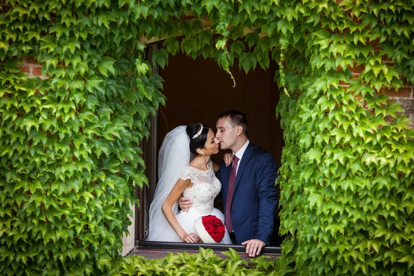 Märchenhaftes frisch vermähltes romantisches Paar — Stockfoto