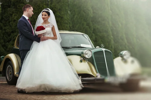 Novia y novio felices — Foto de Stock