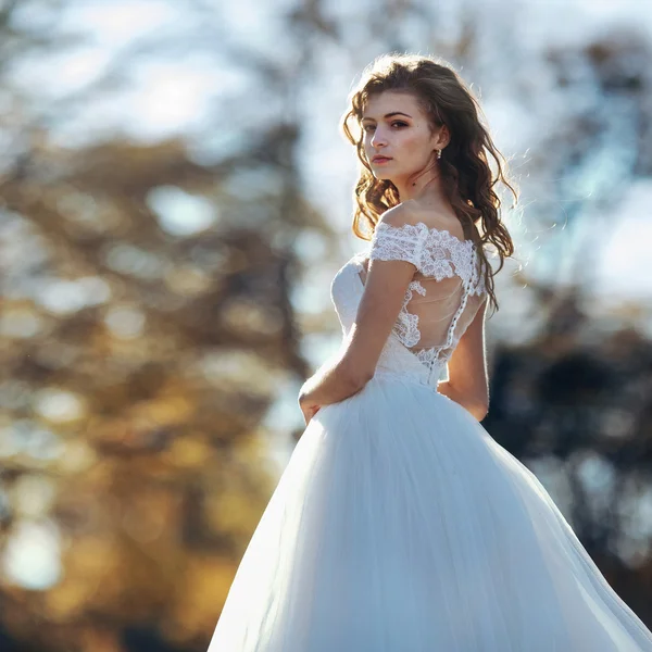 太陽に照らされたゴージャスなブルネットの花嫁 — ストック写真
