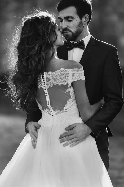 Happy couple of newlyweds hugging — Stock Photo, Image