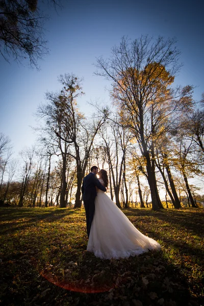 Casal recém-casado romântico — Fotografia de Stock