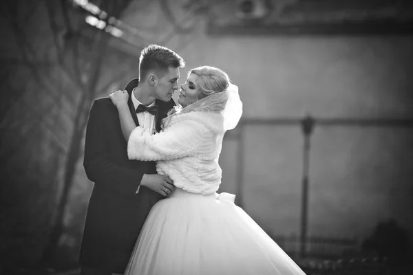Gelukkig jonggehuwde bruidegom en de bruid — Stockfoto
