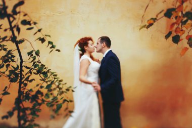 sarılma öpüşme gelin damat