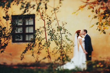 sarılma öpüşme gelin damat