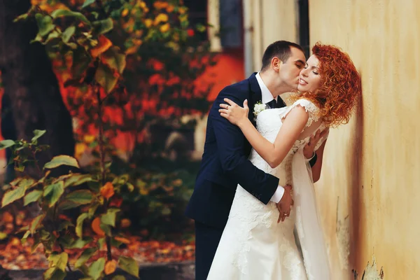 Noivo abraçando noiva beijando — Fotografia de Stock