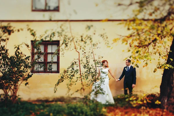 Bruidegom bruid van de hand te houden — Stockfoto