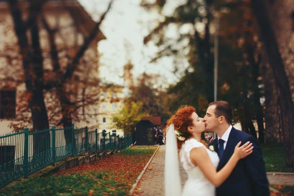 Noiva e elegante noivo, beijando — Fotografia de Stock