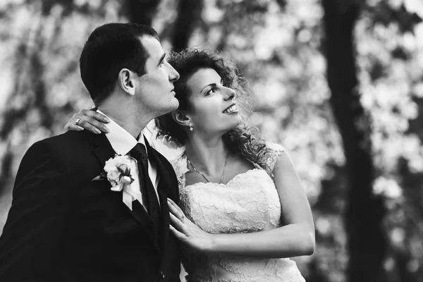 Novia y novio elegante — Foto de Stock