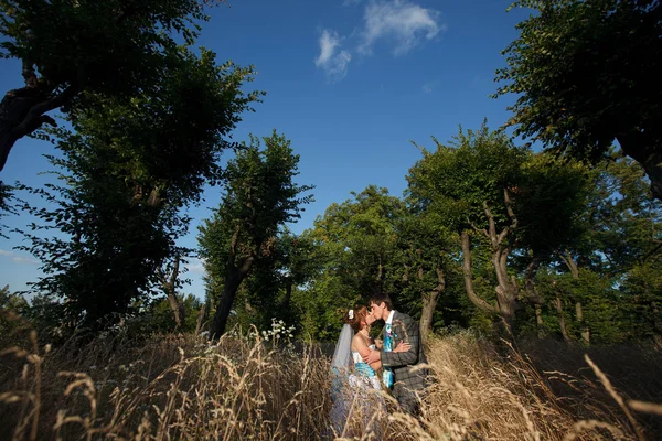 Schattig paar knuffelen en zoenen — Stockfoto