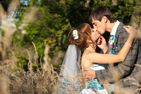 Beijando momento nas ervas — Fotografia de Stock