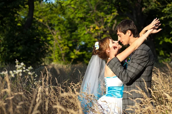 Couple câlins dans les herbes sur les arbres de fond — Photo