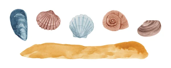 白い背景には さまざまな形や色の手描きの水彩貝と砂の底が隔離されています 水中物体のイラスト 部品の設計 — ストック写真