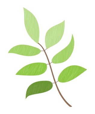 El yapımı bir dal, yeşil yapraklı dal, kaotik ince çizgilerin dokusu, minimal, basit bir tarz. Bitkinin botanik çizimi. Dekorasyon, poster ve kart için vektör tasarım ögesi