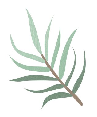 El yapımı bir dal, yeşil yapraklı bir dal, kaotik ince çizgilerin dokusu, minimal, basit bir tarz. Bitkinin botanik çizimi. Dekorasyon, poster ve kart için vektör tasarım ögesi