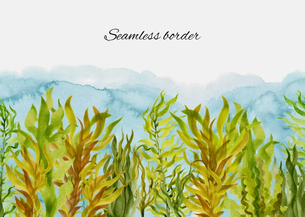 手描きの水彩画藻とのシームレスな境界線 緑と茶色の色で異なる種類の海藻 淡い青の背景に水中植物のイラスト 夏のデザイン要素 — ストック写真