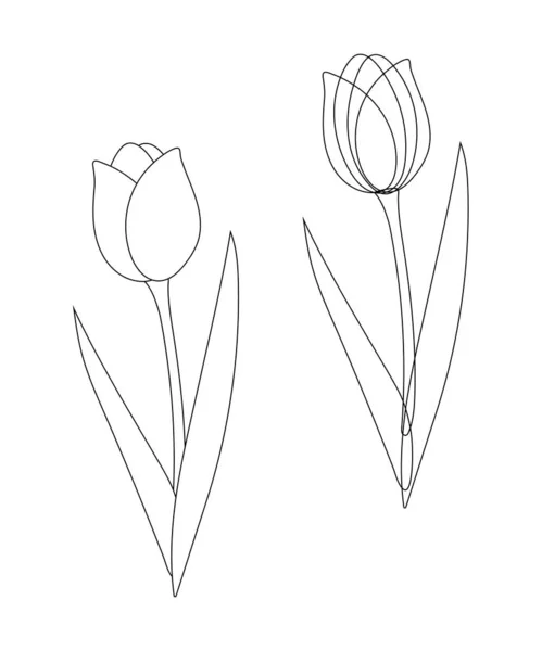 Esboço Flor Tulipa Feito Contornos Pretos Estilo Gráfico Simples Fundo — Vetor de Stock