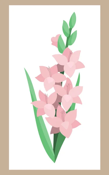 Gladiolus Flower Cartoon Style Pale Pink Green Colors Delicate Botanical — Stock Vector
