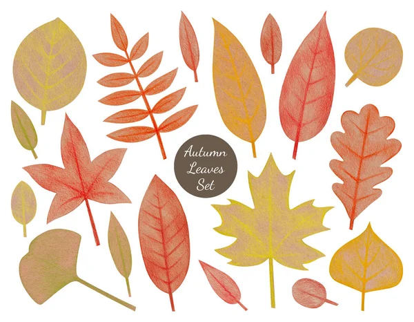 Conjunto Folhas Outono Desenhadas Mão Com Lápis Coloridos Sobre Papel — Fotografia de Stock