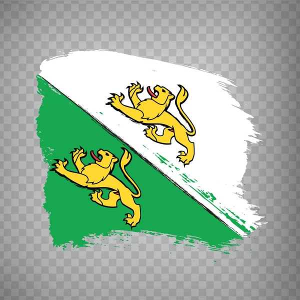 Флажок Кантон Мазков Кисти Тургау Флаг Тургау Прозрачном Фоне Дизайна — стоковый вектор