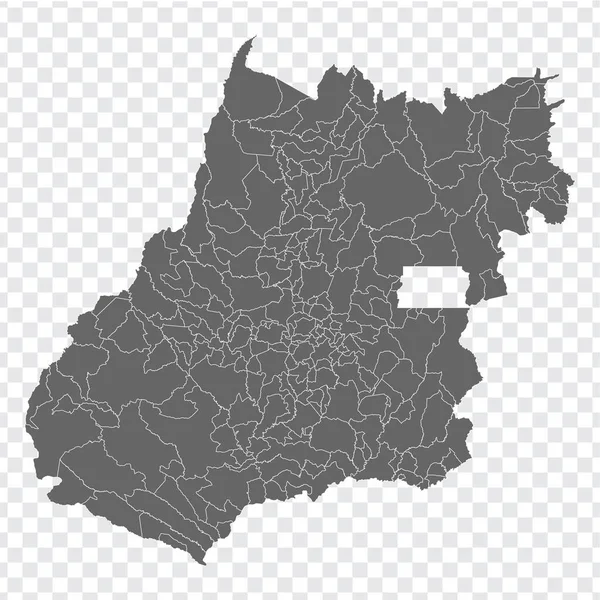 Leere Landkarte Goias Von Brasilien Hochwertige Karte Goias Mit Gemeinden — Stockvektor