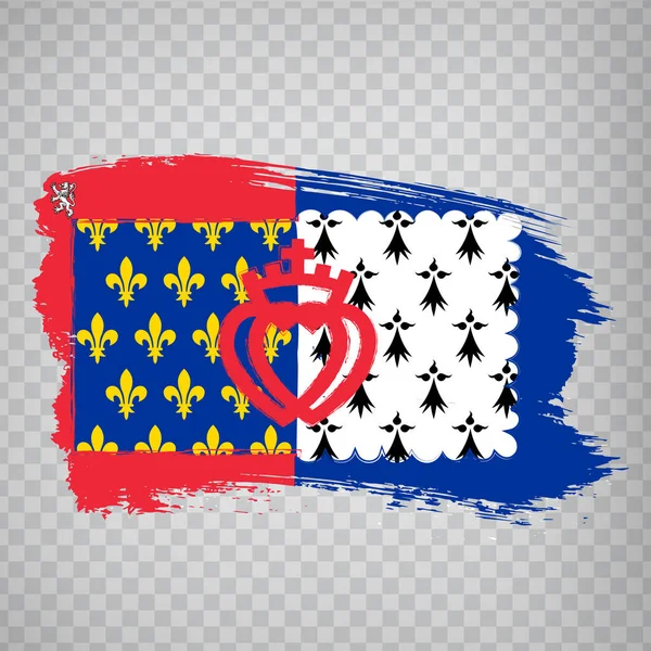 Flag Pays Loire Tahy Štětcem Oblast Vlajek Pays Loire Francie — Stockový vektor