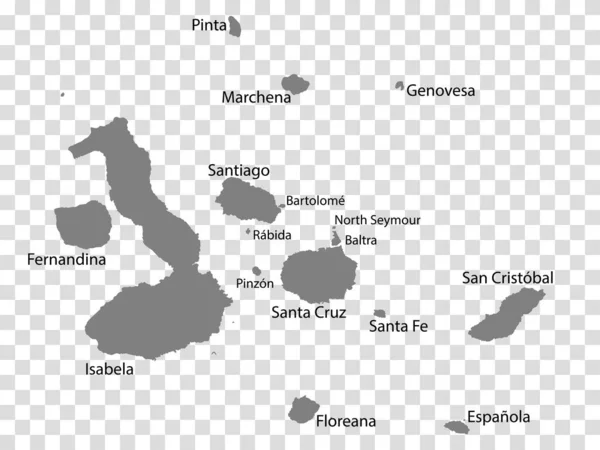 Mapa Branco Galápagos Cinza Cada Mapa Ilha Com Títulos Mapa —  Vetores de Stock