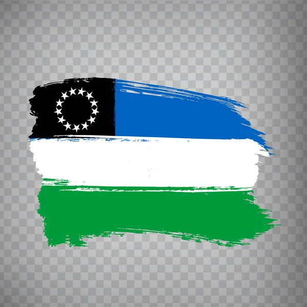 旗リオ ネグロ州ブラシストローク あなたのウェブサイトのデザイン アプリ Uiのための透明な背景にリオ ネグロ州の旗 アルゼンチン共和国 Eps10 — ストックベクタ