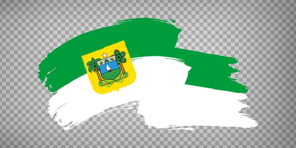 グランデの旗は筆のストロークからノルテを行います ブラジル連邦共和国 ウェブサイトのデザイン アプリ Uiの透明性のある背景にブラジル北部の国旗リオ グランデを振ってください Eps10 — ストックベクタ