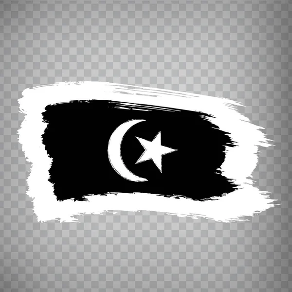 Pinceladas Bandera Terengganu Bandera Terengganu Estado Sobre Fondo Transparente Para — Vector de stock