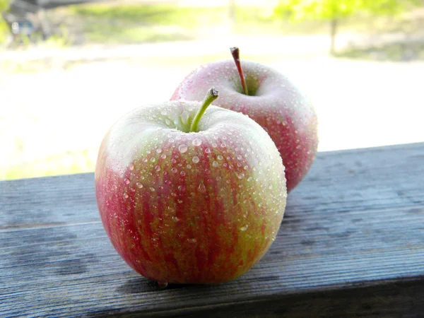 Jabłka w kroplach rosy — Zdjęcie stockowe