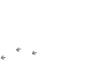 Bir kuşun ayak izlerinin gri siluetinin animasyonu. Çizgi filmlerdeki komik kuş izleri. Beyaz arka planda Flamingo pençe izlerinin canlandırması. 4 bin. Canlandırılmış Video