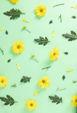 Taze sarı papatya çiçeklerinden yapılmış güzel, parlak, dikey duvar kağıdı deseni ve pastel yeşil arka planda yapraklar. Düz yatıyordu yaratıcı düzenleme.