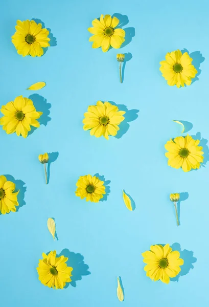 Beutiful bright sunny vertical wallpaper design pattern made of fresh yellow daisy flowers and leaves on a light blue background. Flat lay minimal arrangement.