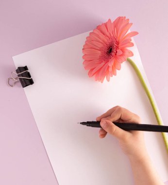 Yaratıcı Anneler Günü tebrik kartı tasarımı. Bir kızın tebrik kartı, boş bir kağıt ve pembe bir gerbera çiçeğinin pastel mor arka planda yazması. Düz Düzen.