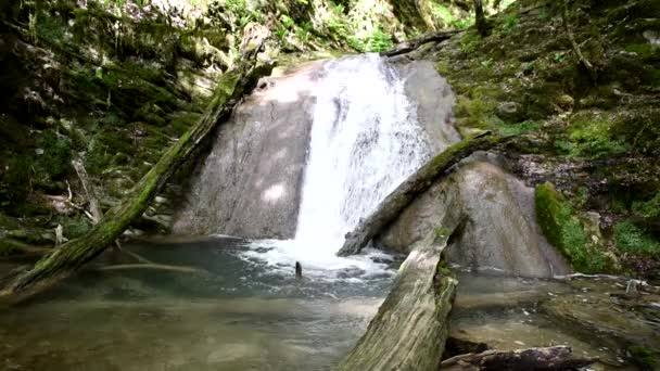 Schöner, malerischer Wasserfall — Stockvideo