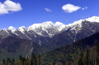 güzel dağ manzarası